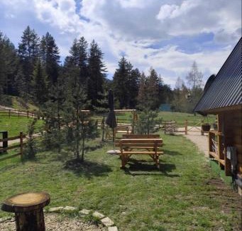 Zabljak Ski Chalet | Pine forest-White