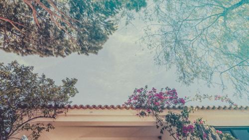Faro Bed & Breakfast | Pine House - Faro Airport, Beach and City Center