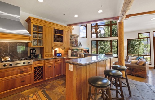 Mountain Village House | PINE MEADOWS 138- Gorgeous Ski-In/Ski-Out Condo w/Hot Tub & Views