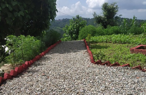 Kaul Cottage | Pine pioneer the eco resort