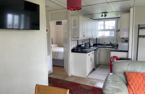 Haverfordwest Ski Chalet | Pine Tree