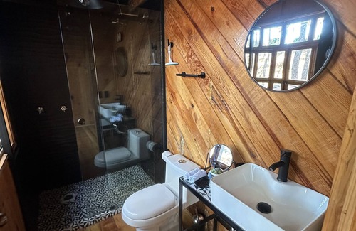 Mazamitla Hotel | PINE TREE Hotel Boutique & Cabañas