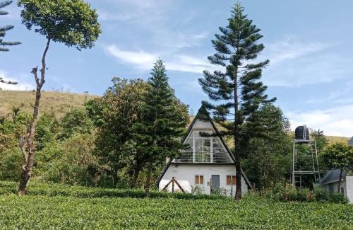 Elappara Ski Chalet | Pine Trees Gold