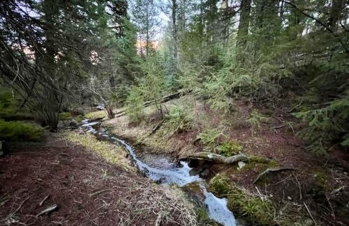 Evergreen Meadows House | Pinebox at Evergreen Modern 20Acres -Serene-Creek