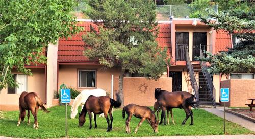 Ruidoso Resort | Pinecliff Village Resort