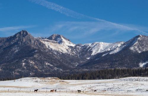 Pagosa Springs Apartment | Pines 4039