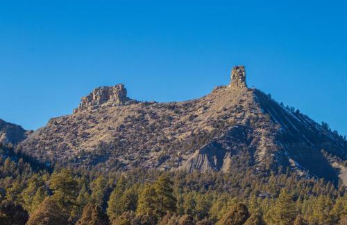Pagosa Springs Apartment | Pines 4039