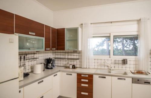 Petaloudes Villa | Pines Villa