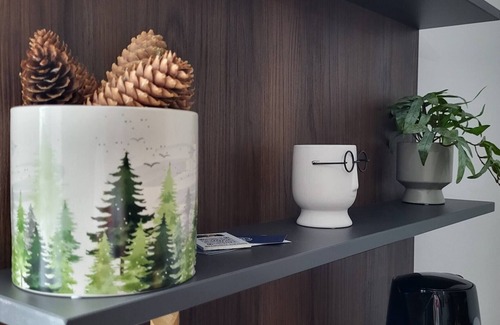 Kopaonik Apartment | Pino Nero- Apartment