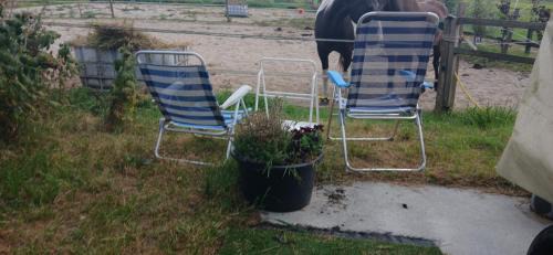 Hommerts Other | Pipowagen bij Sneek