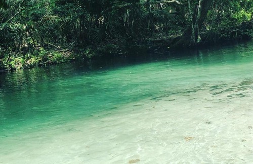 Weeki Wachee Gardens House | Pirates Cove - 5336 Circle Drive