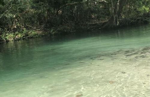 Weeki Wachee Gardens House | Pirates Cove - 5336 Circle Drive