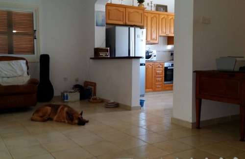 Pissouri Villa | PISSOURI Limassol !Luxurious 3 Very Spacious Bedrooms Villa Super Large Garden