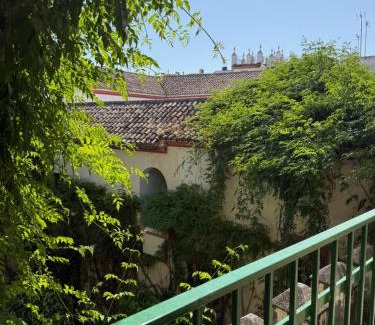 Historical Center Apartment | Placentines