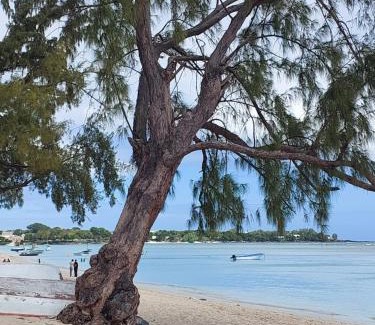 Morcellement Raffray House | plage lagon bleu
