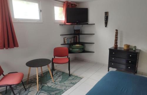 Tremuson Apartment | Plain-pied T1 patio et jardin
