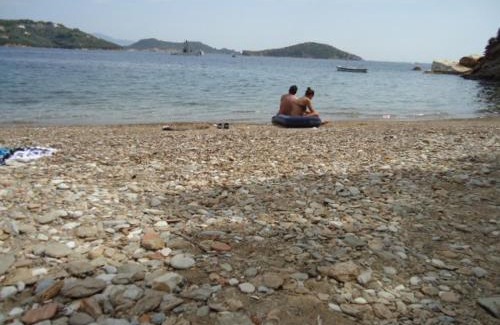 Skiathos Apartment | Plakes Suites