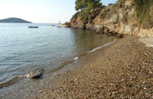 Skiathos Apartment | Plakes Suites