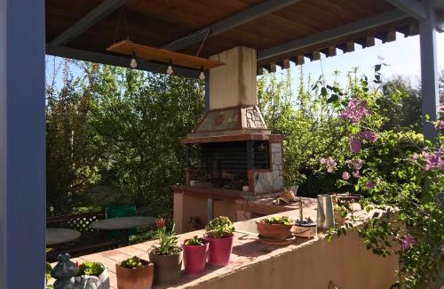 Dhikella Apartment | Plane Tree House