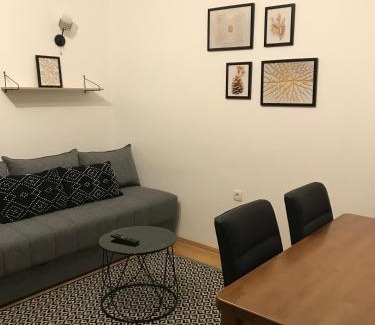 Brzece Apartment | Planinski Raj - Bela Reka Gondola