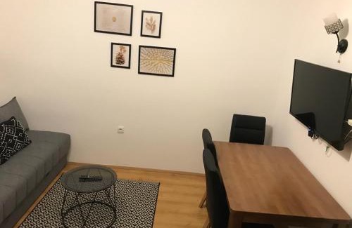 Brzece Apartment | Planinski Raj - Bela Reka Gondola