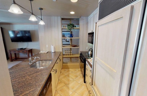 Vail Condo | Platinum Manor Vail Condo - Bfast & Hskping Incl.