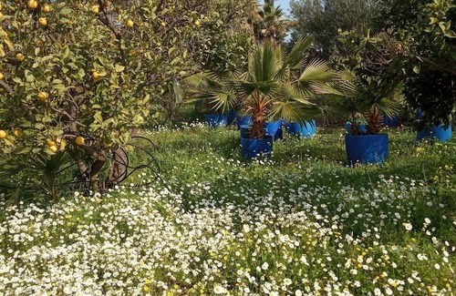 Kos Town Apartment | Platon Apartment Garden Escape in Kos