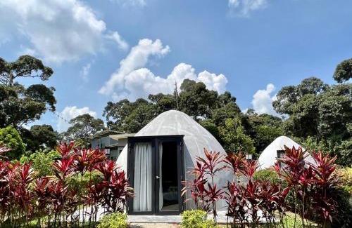 Jasin Cabin | PLAY at Lot 31 Eco Orchard Melaka