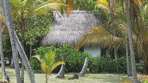 Guachaca Cabin | Playa Pikua Ecolodge