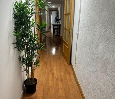 Centro House | Plaza Guest House