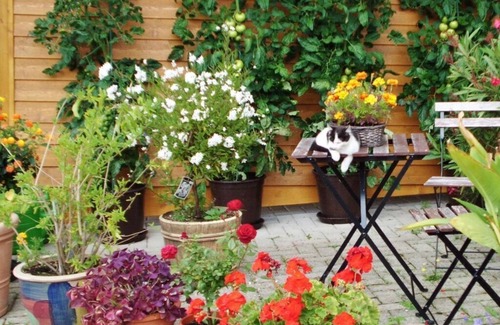 Sankt Peter Apartment | Pleasant holiday home with balcony