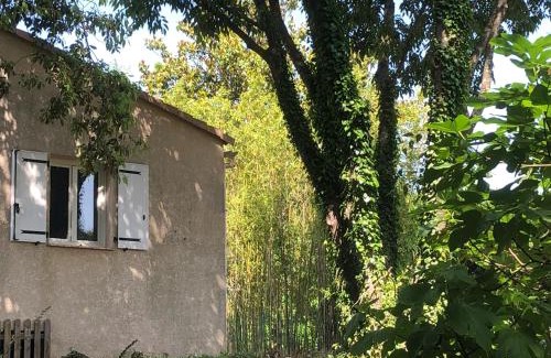 Anduze House | Pleasant house close to Anduze