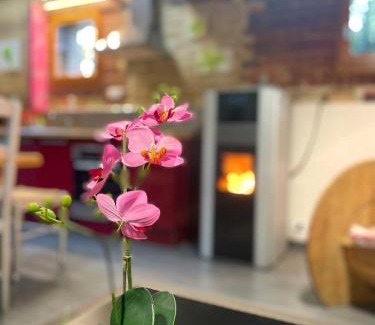Basseneville House | Pleasant Norman house 15 minutes from the beach of Cabourg