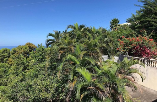 Le Carbet Apartment | Pleasant STUDIO conditioning. CARBET in the North Caribbean ds ds 1 ventilated place quiet WIFI