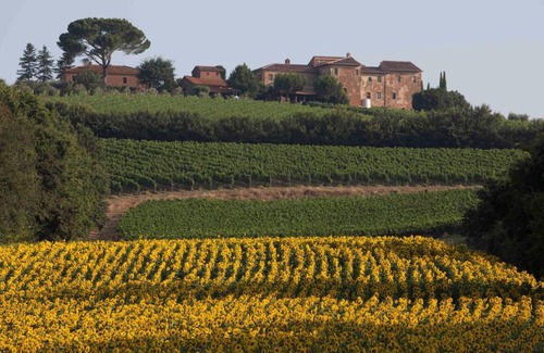 Ferretto Villa | Pleasant Villa in Valiano with Terrace Garden Sun loungers