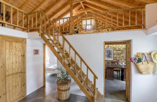 Avas Ski Chalet | Plismoní