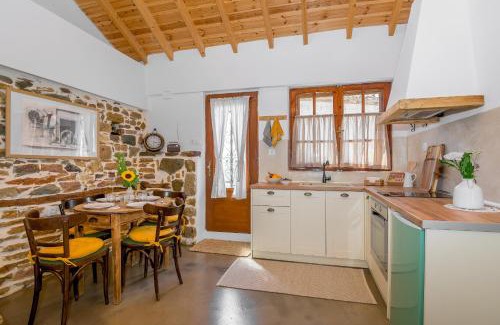 Avas Ski Chalet | Plismoní