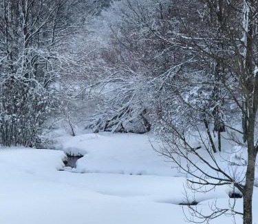 Cujica Krcevina Hotel | Plitvice Inn
