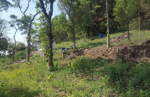 Kodaikanal Cottage | Plumeria Eco Trails Resort