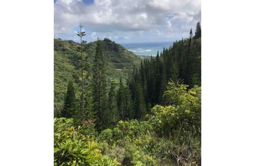 Hauula House | Plumeria North Shore Fun! AC, Kayak, Surfboards!