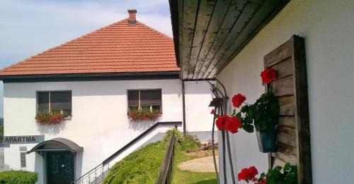 Ormoz House | POČITNIŠKA HIŠA KOG