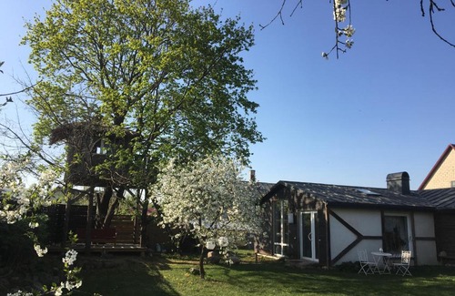 Anyksciai Apartment | Po klevu