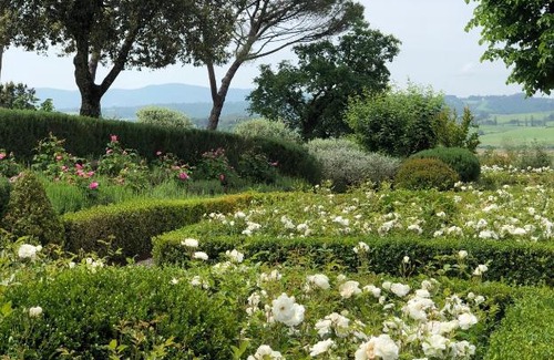 Buonconvento Villa | Podere Capannone