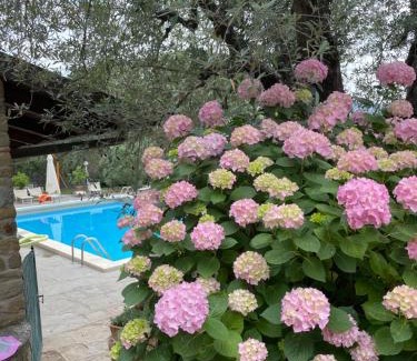 Arezzo House | Podere Poggio Mendico
