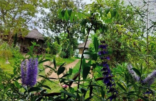 Naro Moru Cottage | Podocarpus cottages