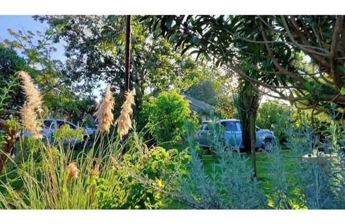 Naro Moru Cottage | Podocarpus cottages
