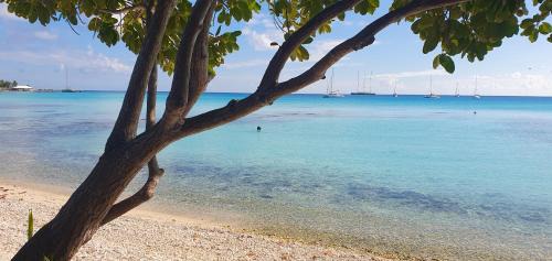 Rangiroa House | Poe Guesthouse