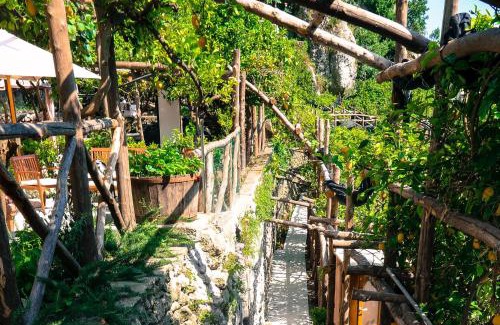 Pontone House | Poggio Angelarosa: Lemon Garden Stay&Relax