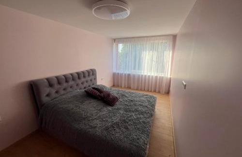 Klaipeda District Municipality Apartment | Poilsis Drevernoje