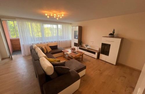 Klaipeda District Municipality Apartment | Poilsis Drevernoje